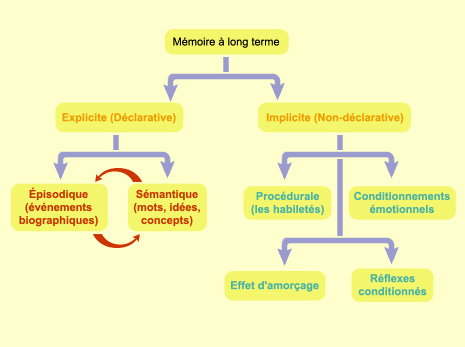 Les différentes catégories de mémoire