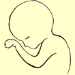 De l'embryon à la morale